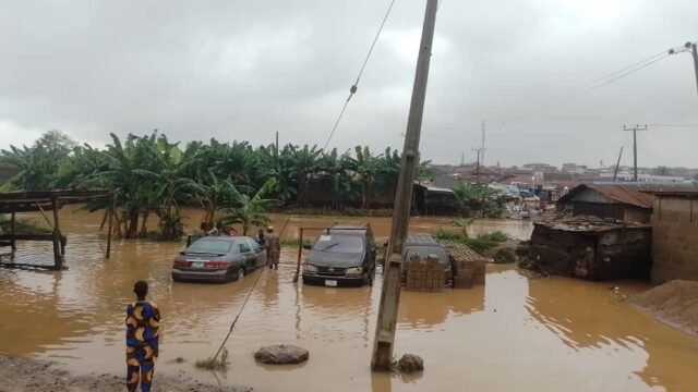 467C5DD4-9015-4332-91B9-756555928971