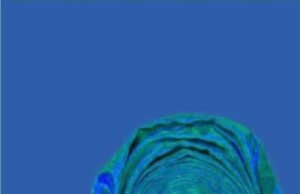 EXPLOSION: Ajaja Commiserates With Victims, Wants Sales Of Explosive Materials Controlled