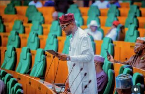 Why I Sponsored Bill For Establishment Of Surrogacy Commission — Rep Alao-Akala