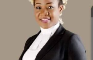 Experience Garnered While Working With Gov Makinde Assisted During My Master’s Degree In Canada — Miss Ologburo