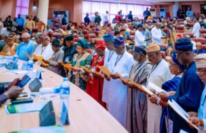 The Burden And Promise Of The South West Development Commission | Remi Ladigbolu