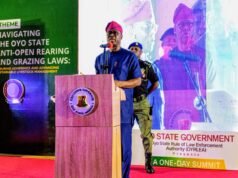 Monday Lines: Gov Makinde, His Sons And His ‘Friends’ | Lasisi Olagunju