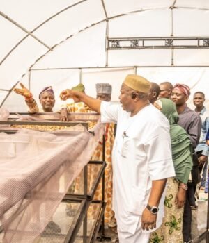 PHOTOS: Jubilation As Oyo South Senator Inaugurates Solar Dryers For Ibarapa Farmers