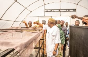 PHOTOS: Jubilation As Oyo South Senator Inaugurates Solar Dryers For Ibarapa Farmers