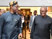 Makinde Insists He Has No Godfather— Coming To You For Support Doesn’t Make You One