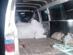 Oyo Police Arrest Four Suspects Over Cattle Rustling