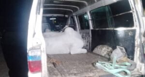 Oyo Police Arrest Four Suspects Over Cattle Rustling