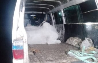 Oyo Police Arrest Four Suspects Over Cattle Rustling