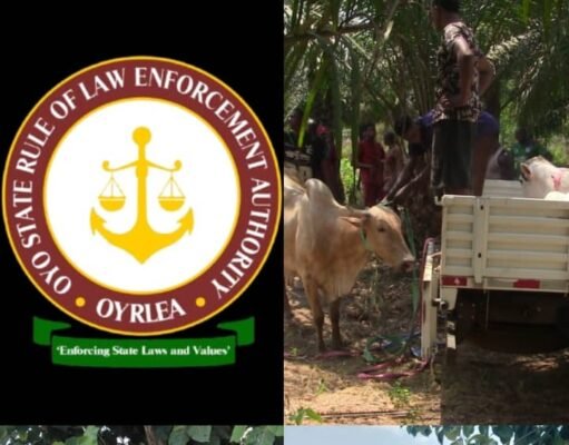 OYRLEA Agency Impounds Nine Head Of Cattle At Ijaye Farm Settlement